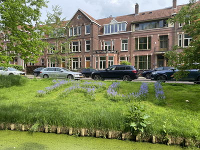 913011 Afbeelding van de naam TRUI in hyacinten, verwijzend naar verzetsvrouw Trui van Lier, aan de rand van het ...